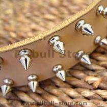 spiked dog collar