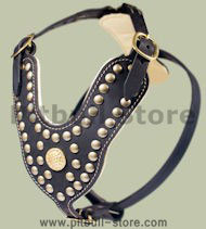 Brass Studded Dog Harness-Studded Leather Dog Harness for Pitbul