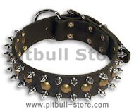 APBT 3 Rows Leather Spiked and Studded Dog Collar- Spiked collar