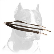 Strong Pitbull Triple Dog Leash Made of Nylon