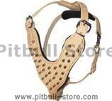 Tan Leather Spiked Dog Harness for Pitbulls- For Pitbull Mix